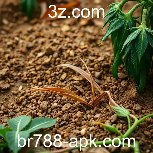 Impacto da Tecnologia na Educação Brasileira